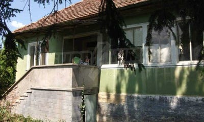 /international/bg/с-балеи-s-baley-видин-vidin-310097673887/
