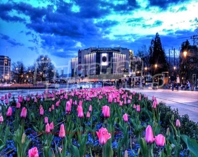 /international/bg/център-centar-софия-sofia-city-province-310096779471/?lang=zh-cn