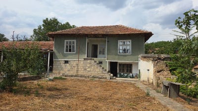 /international/bg/гр-провадия-село-кривня-gr-provadia-selo-krivnia-варна-varna-310100959470/