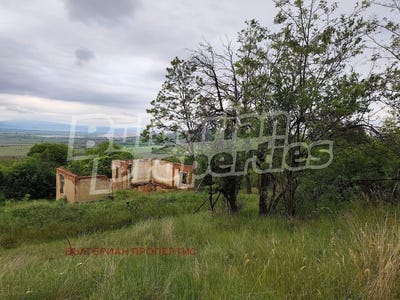 /international/bg/с-владимир-s-vladimir-перник-pernik-310108369032/