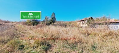 /international/bg/кошаревска-махала-kosharevska-mahala-перник-pernik-120085172681/