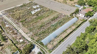 /international/bg/новата-махала-ломски-отдел-novata-mahala-lomski-otdel-русе-ruse-310102248062/