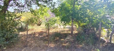 /international/bg/в-з-русофили-v-z-rusofili-русе-ruse-310102245210/