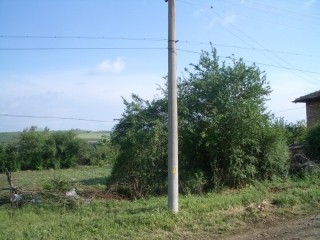 /international/bg/dobrich-varna-310101515221/
