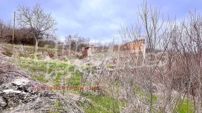 /international/bg/с-горно-белево-s-gorno-belevo-стара-загора-stara-zagora-310102397103/