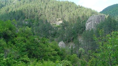 /international/bg/с-соколовци-s-sokolovci-смолян-smoljan-120049130861/