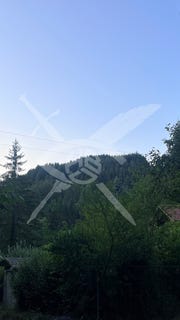 /international/bg/с-луково-s-lukovo-софия-sofia-province-310093882780/