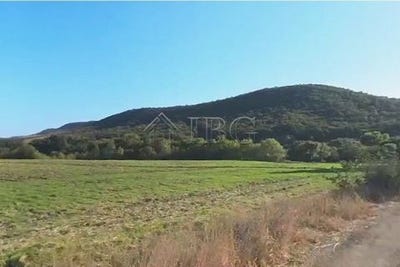 /international/bg/burgas-burgas-310108675245/