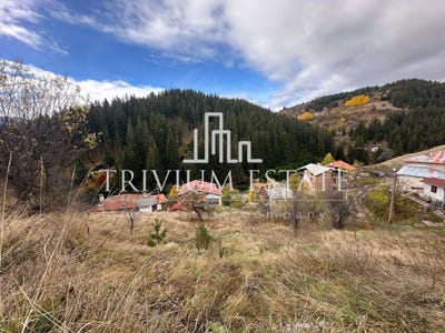 /international/bg/с-стоиките-s-stoykite-смолян-smoljan-310107673684/