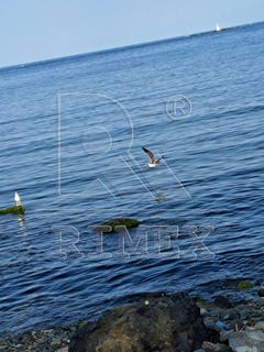/international/bg/гр-царево-gr-carevo-бургас-burgas-310101279401/