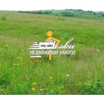 /international/bg/5-ти-полк-5-ti-polk-шумен-shumen-province-310097622188/