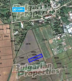 /international/bg/черно-море-cherno-more-бургас-burgas-310105399871/