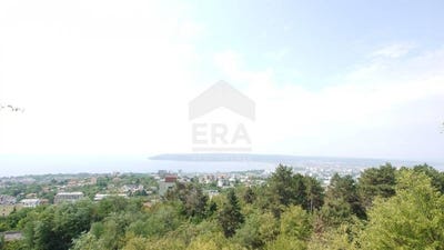 /international/bg/м-т-акчелар-m-t-akchelar-варна-varna-310098510083/