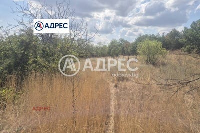 /international/bg/гр-аксаково-gr-aksakovo-варна-varna-310108371735/