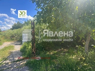/international/bg/с-ветрино-s-vetrino-варна-varna-310108940706/