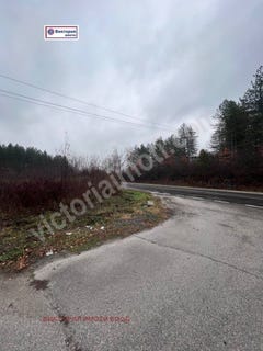 /international/bg/с-ганчовец-s-ganchovec-габрово-gabrovo-120081711549/