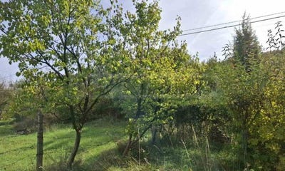 /international/bg/бела-вода-bela-voda-перник-pernik-310101080510/