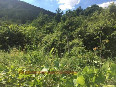 /international/bg/2-ри-корпус-2-ri-korpus-шумен-shumen-province-310104986983/