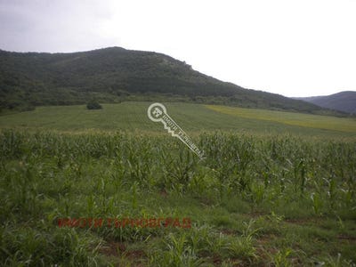 /international/bg/яз-ал-стамболииски-iaz-al-stamboliyski-велико-търново-plovdiv-province-120051122113/