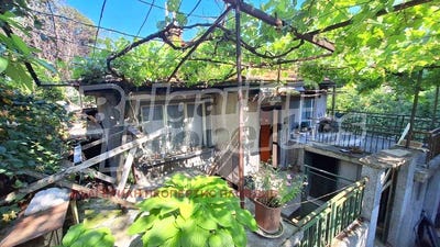 /international/bg/център-centar-пловдив-plovdiv-province-310100006302/