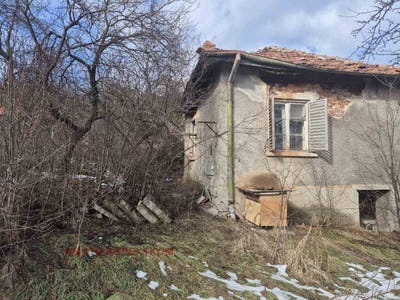 /international/bg/табана-tabana-перник-pernik-310098111676/