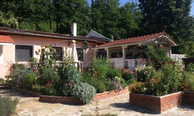 /international/bg/гачевци-gachevci-габрово-gabrovo-310098866633/