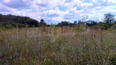 /international/bg/гр-севлиево-gr-sevlievo-габрово-gabrovo-120092288381/