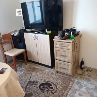 /international/bg/пинета-pineta-добрич-dobrich-province-310106415124/