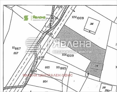 /international/bg/с-стефаново-s-stefanovo-перник-pernik-310108370262/