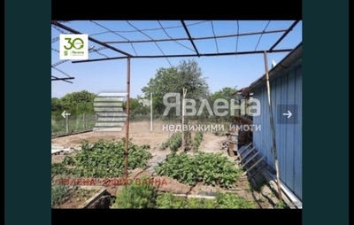 /international/bg/с-болярци-s-boliarci-варна-varna-310108157209/