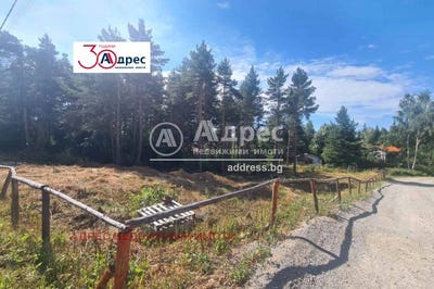 /international/bg/в-з-ярема-v-z-iarema-софия-sofia-city-province-120087151821/