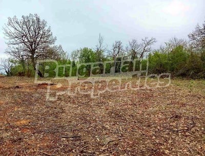 /international/bg/с-керека-s-kereka-габрово-gabrovo-310107677221/