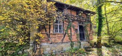 /international/bg/гр-плачковци-gr-plachkovci-габрово-gabrovo-310103021385/