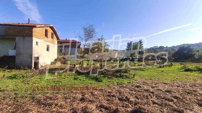 /international/bg/с-ново-оряхово-s-novo-oriahovo-варна-varna-310097952692/