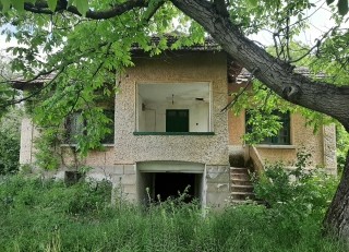 /international/bg/vratsa-montana-310108289900/