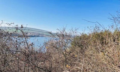 /international/bg/гр-попово-gr-popovo-търговище-targovishte-province-120092290180/