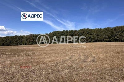 /international/bg/с-юнец-s-iunec-варна-varna-310106572014/
