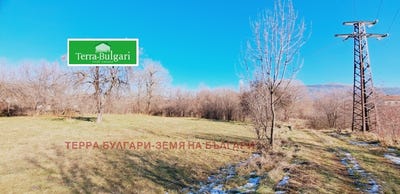 /international/bg/църква-carkva-перник-pernik-310095275907/
