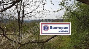 /international/bg/м-т-козлуджа-m-t-kozludja-велико-търново-veliko-tarnovo-province-120050103853/