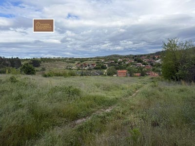 /international/bg/с-церово-s-cerovo-пазарджик-pazardzhik-310108420324/