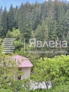 /international/bg/с-виево-s-vievo-смолян-smoljan-310107182519/