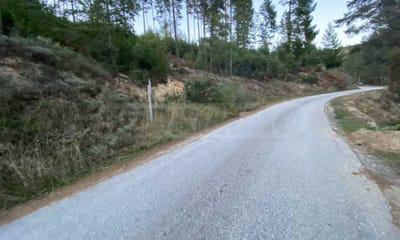 /international/bg/с-баните-s-banite-смолян-smoljan-120090498333/