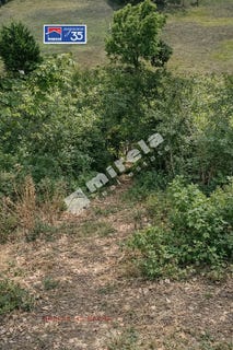 /international/bg/м-т-планова-m-t-planova-варна-varna-310108371332/