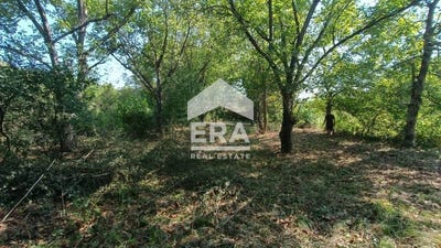 /international/bg/с-априлово-s-aprilovo-търговище-targovishte-province-310097820411/