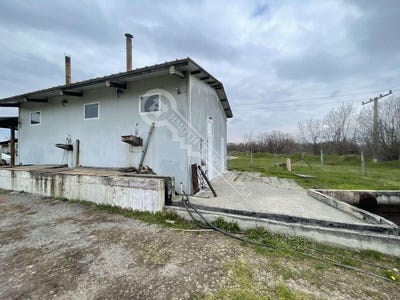 /international/bg/гр-златарица-gr-zlatarica-велико-търново-veliko-tarnovo-province-310106739051/