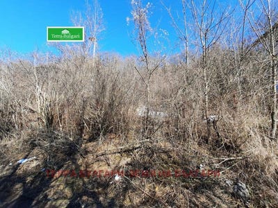 /international/bg/с-косача-s-kosacha-перник-pernik-310093926803/