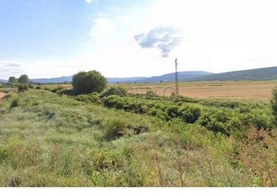 /international/bg/burgas-burgas-310104800559/