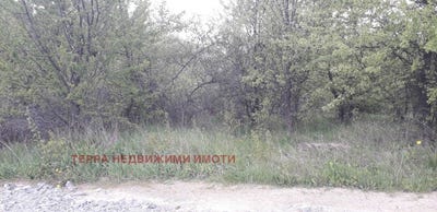 /international/bg/с-бърдо-s-bardo-софия-sofia-city-province-120084486713/?lang=en