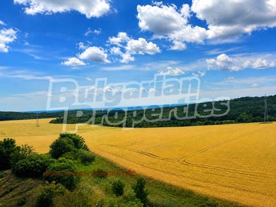 /international/bg/к-к-камчия-k-k-kamchia-варна-varna-310109093084/