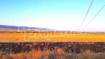 /international/bg/с-тънково-s-tankovo-бургас-burgas-310097950669/